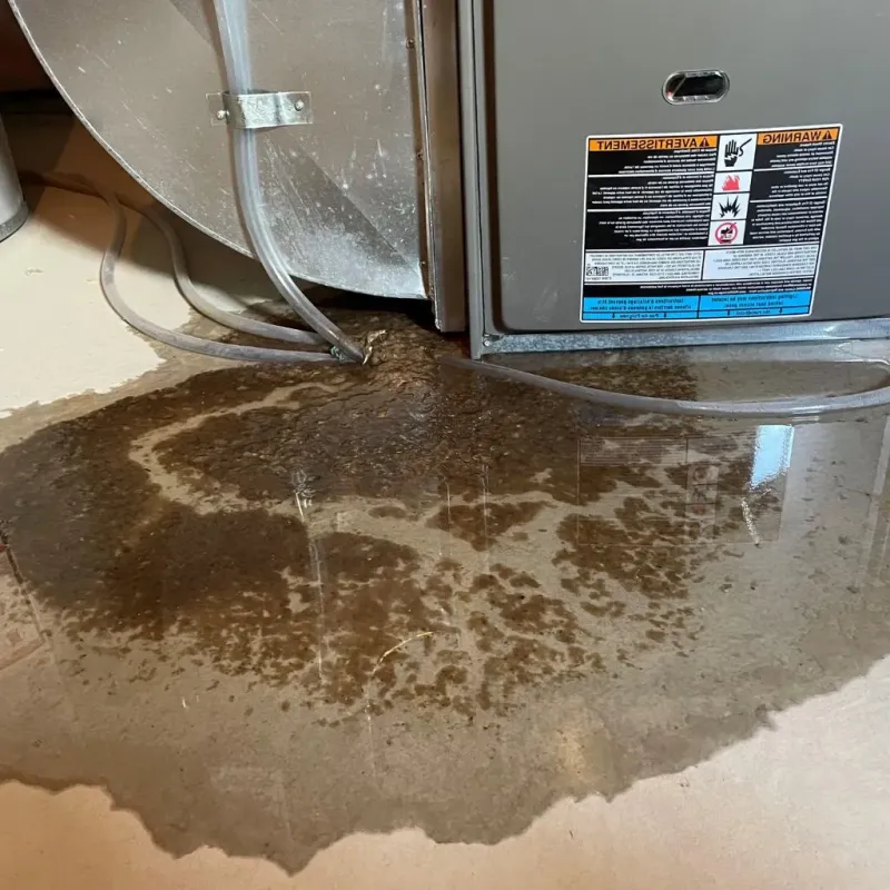 Pipe Burst and Leak Restoration in Aztec, NM