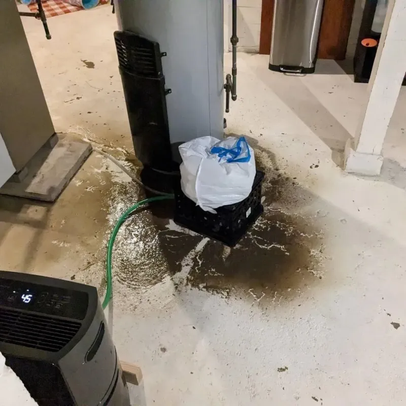 Sewage Backup Cleanup Service in Aztec, NM